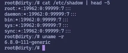 Terminal showing /etc/shadow output and kernel version 6.8.0-111-generic
